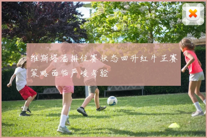 维斯塔潘排位赛状态回升红牛正赛策略面临严峻考验
