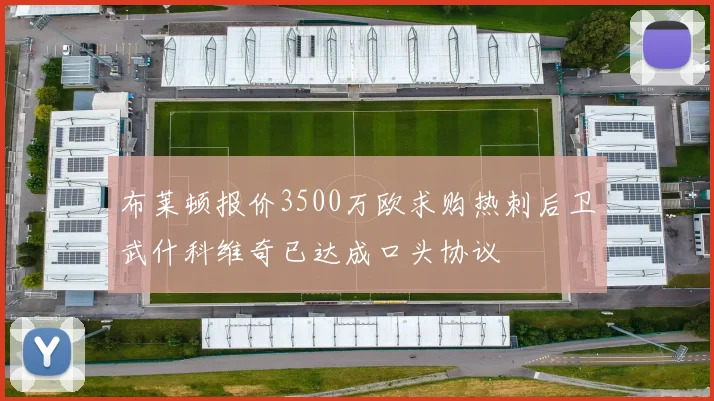 布莱顿报价3500万欧求购热刺后卫武什科维奇已达成口头协议